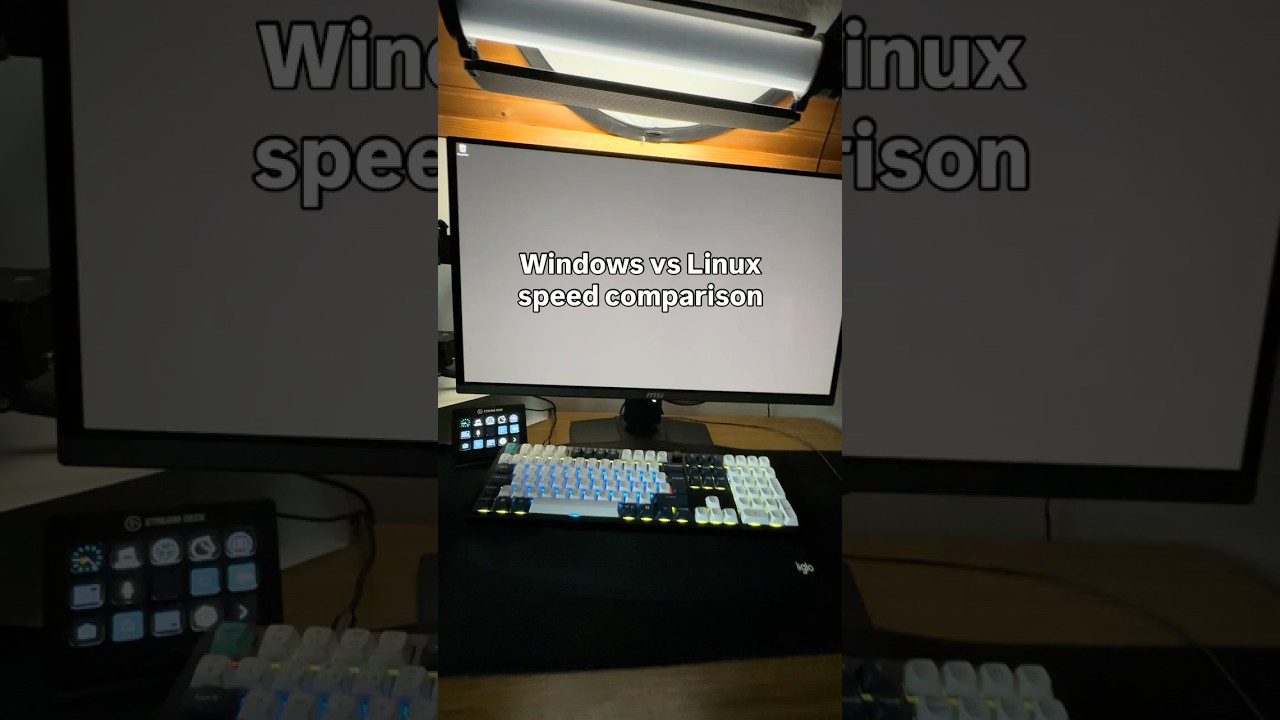 Launching Blender in Windows 11 vs Kubuntu 25.10 (Speed comparison)
