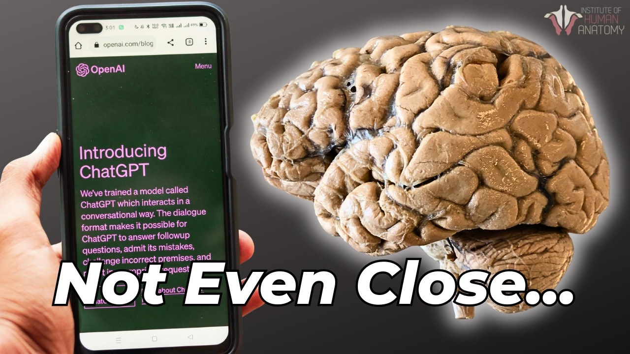 Is AI REALLY Smarter Than YOU? The Scientific Truth About Your Brain