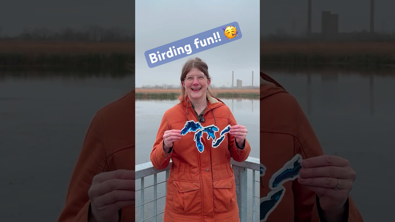 Birding Fun [w/ the Audubon Society!]