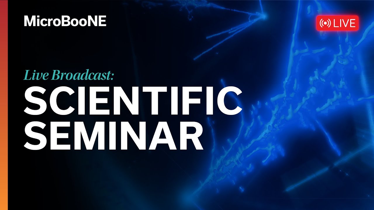 Scientific Seminar: MicroBooNE finds no evidence for a single sterile neutrino