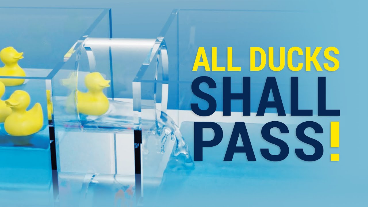 All Duckies Shall Pass! 🐣