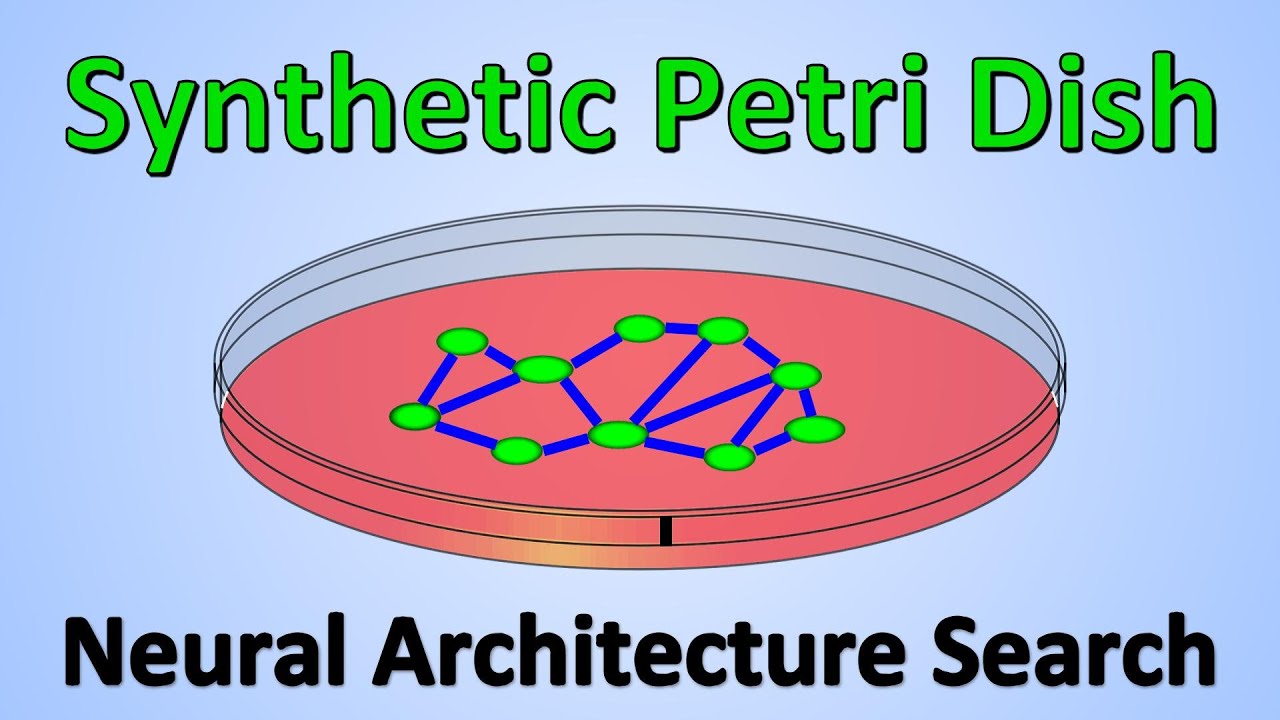 Synthetic Petri Dish: A Novel Surrogate Model for Rapid Architecture Search (Paper Explained)