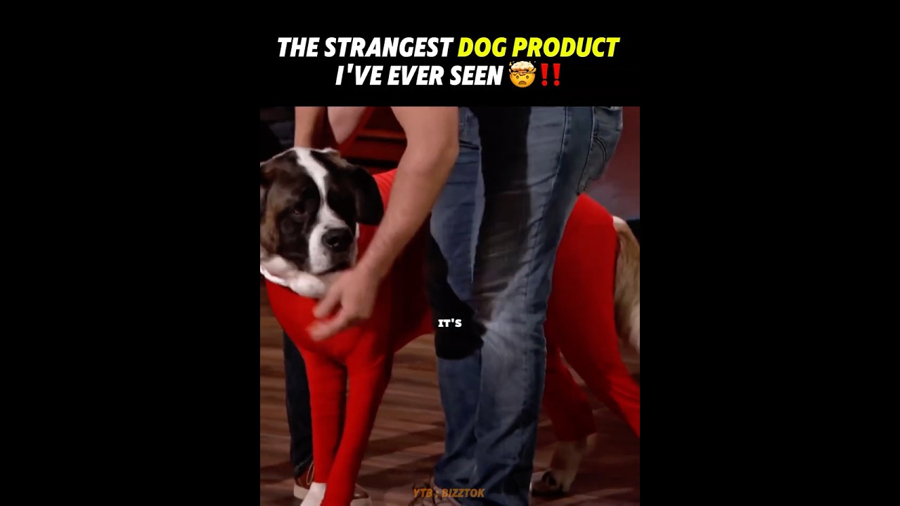 The strangest dog product I've ever seen 🤯‼️ #sharktank 
