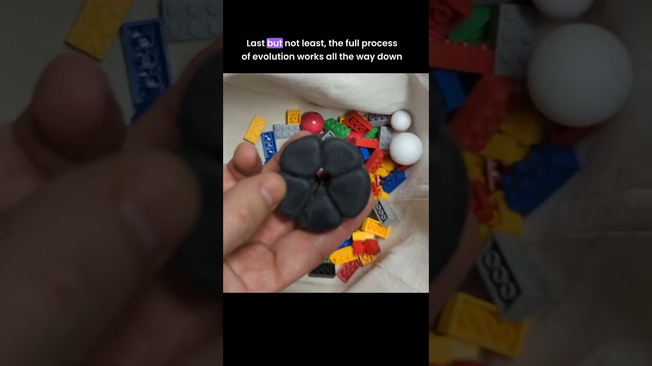 Protein Evolution Stated Clearly