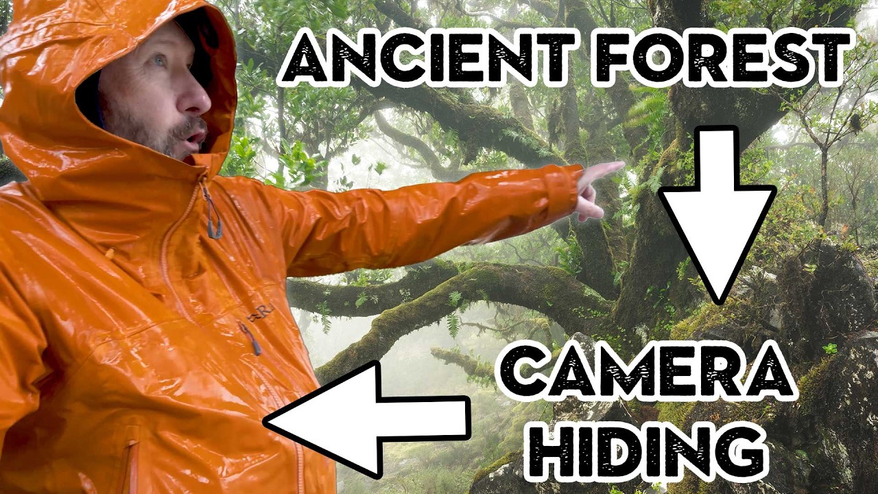 Shooting Ancient Trees in a Storm — The Shots That Surprised Me