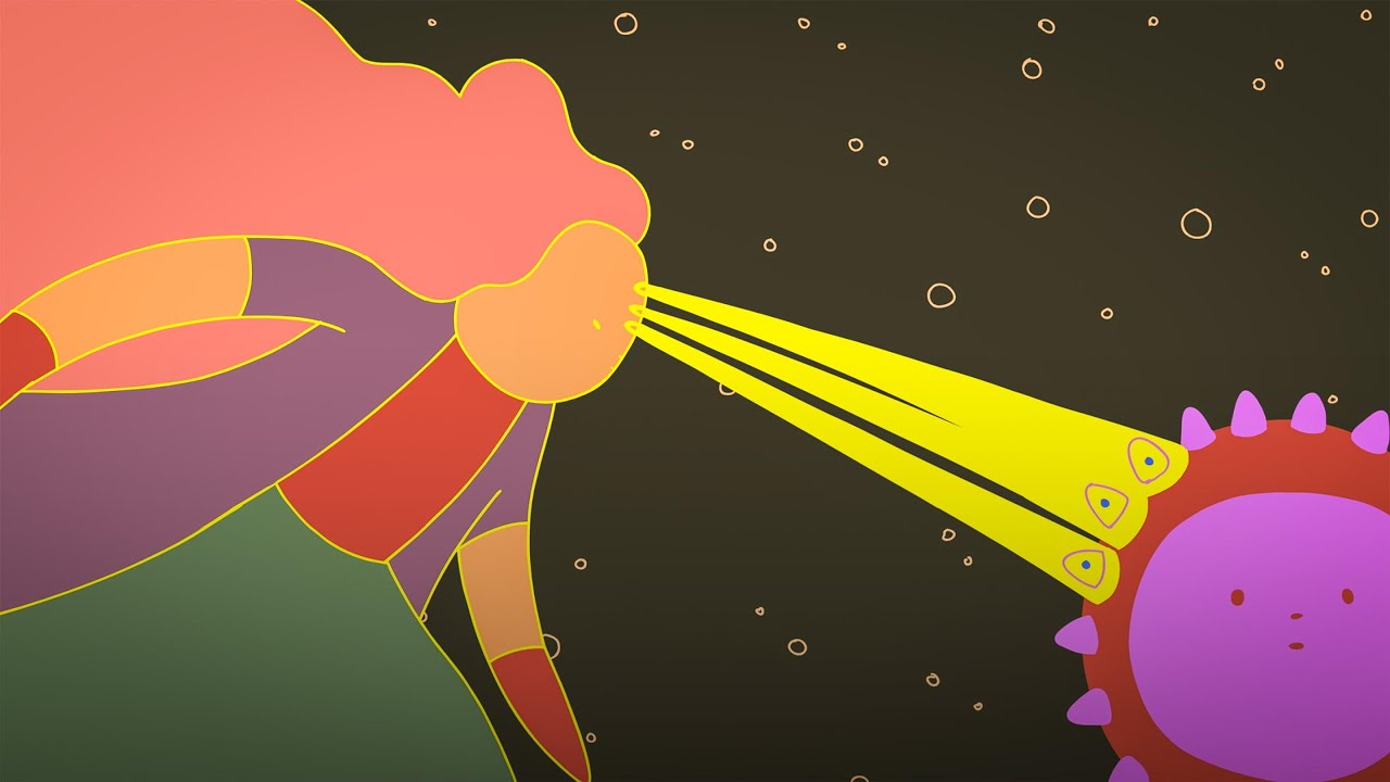 Can You Actually Boost Your Immune System? Here’s the Truth | Body Stuff with Dr. Jen Gunter