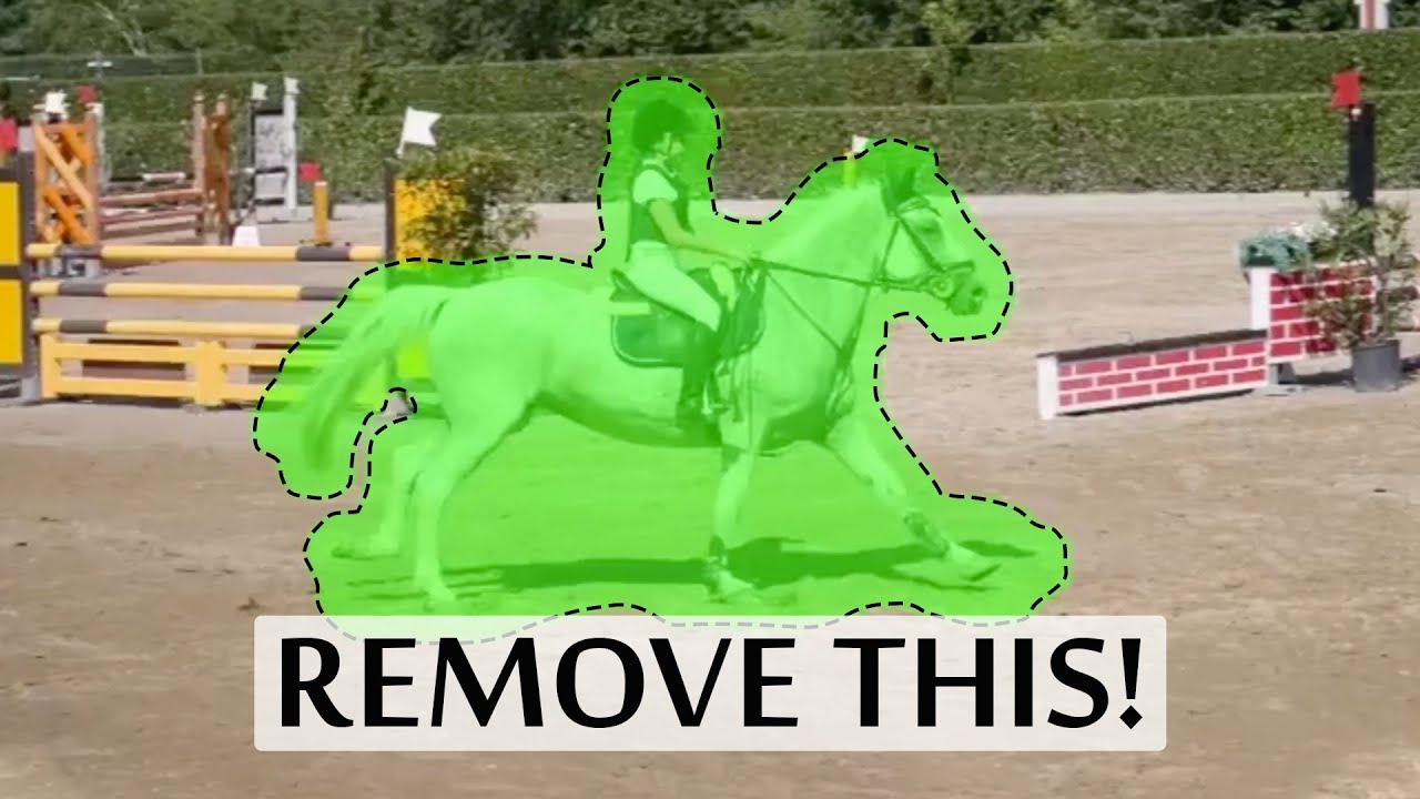 Remove This! ✂️ AI-Based Video Completion is Amazing!