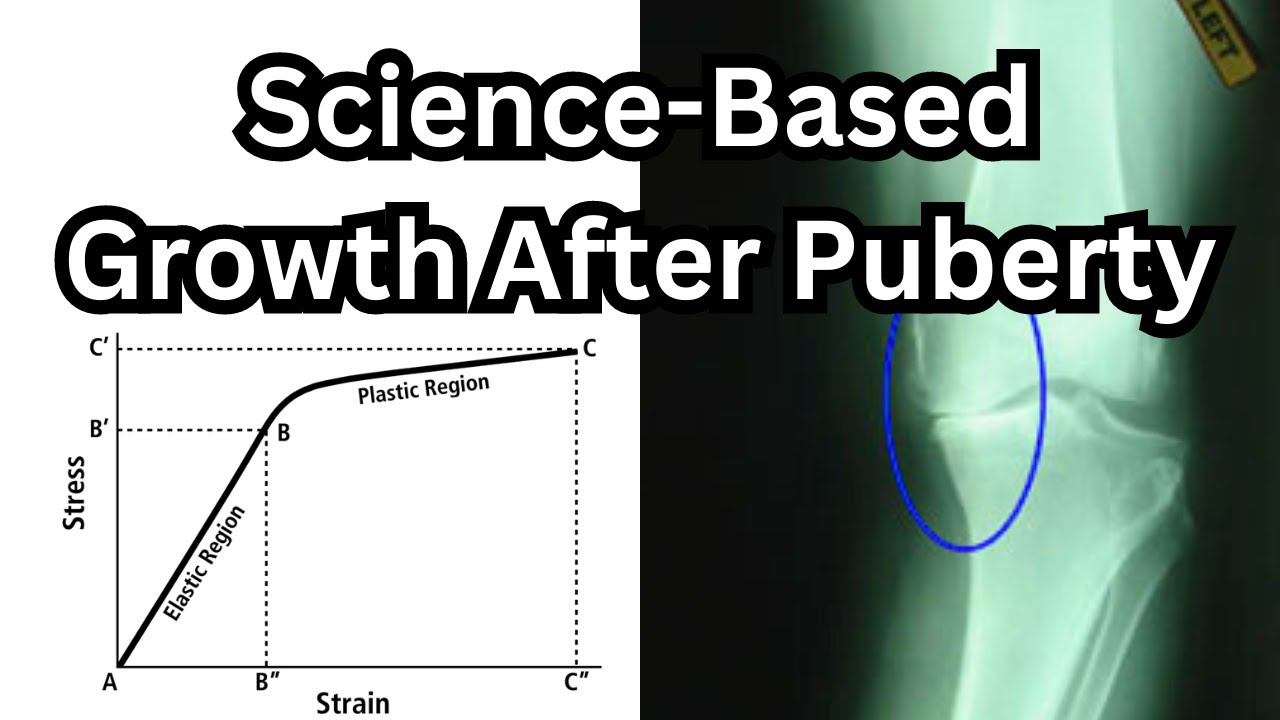 Using Bone Plasticity To Grow Taller After Puberty (Testimonials And Sauce At The End)