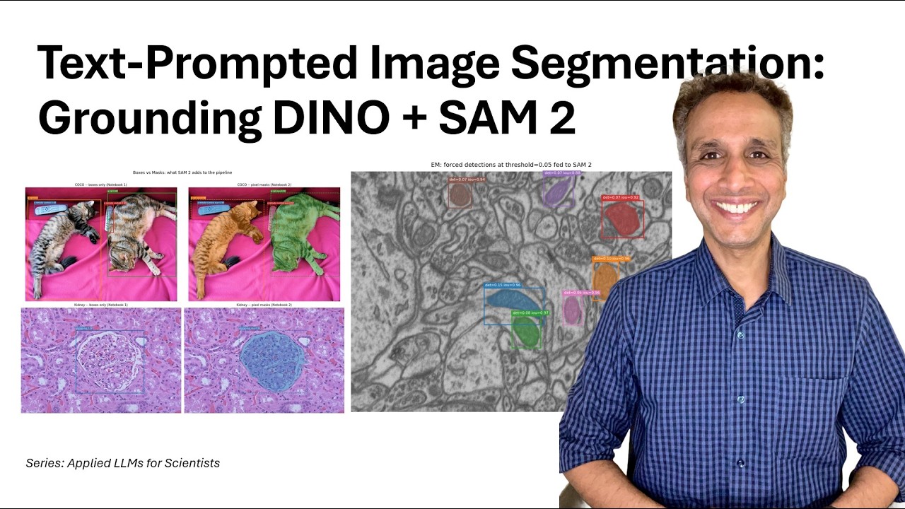 03-Text to Pixel Masks - Grounding DINO + SAM 2 (Google Colab)