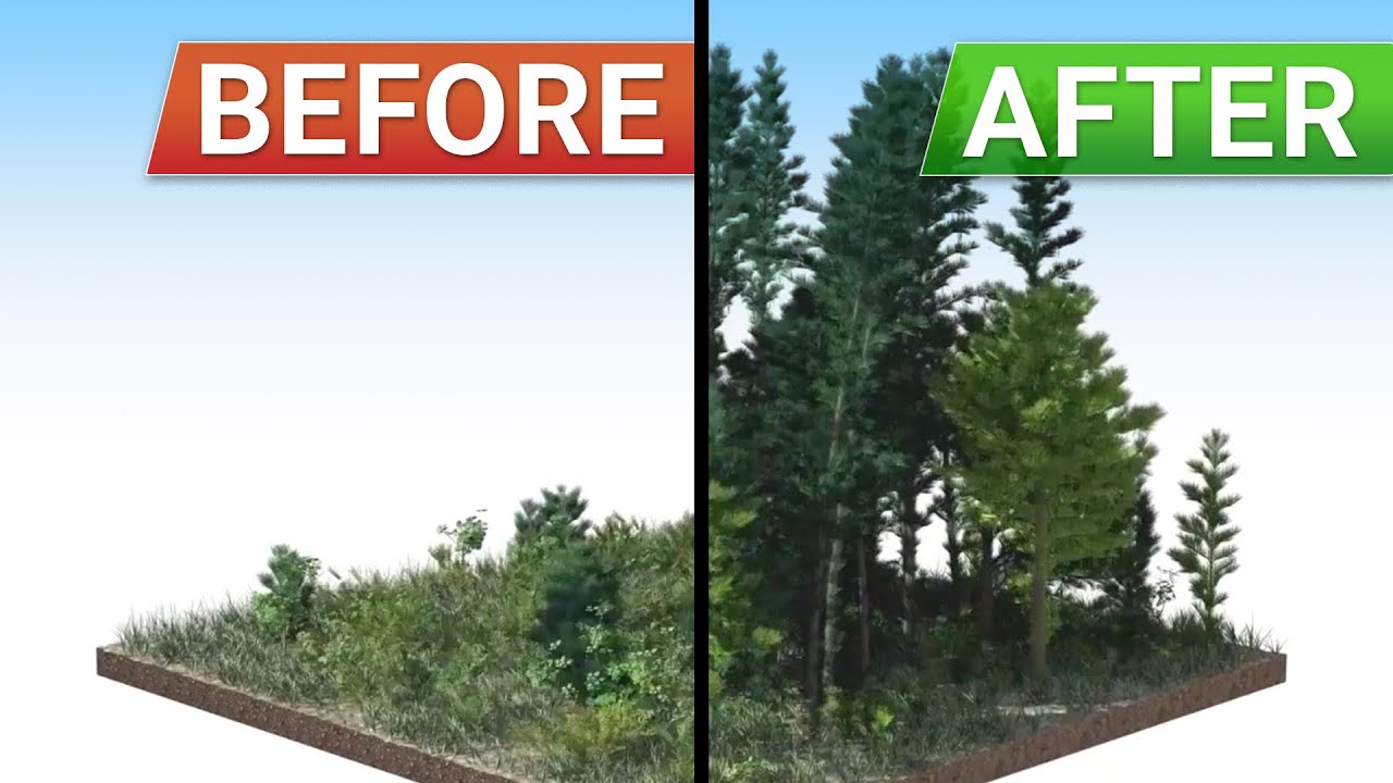 Simulating A Virtual World…For A Thousand Years! 🤯