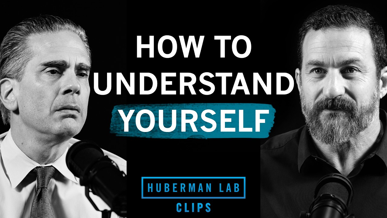 How to Better Understand Yourself | Dr. Paul Conti & Dr. Andrew Huberman