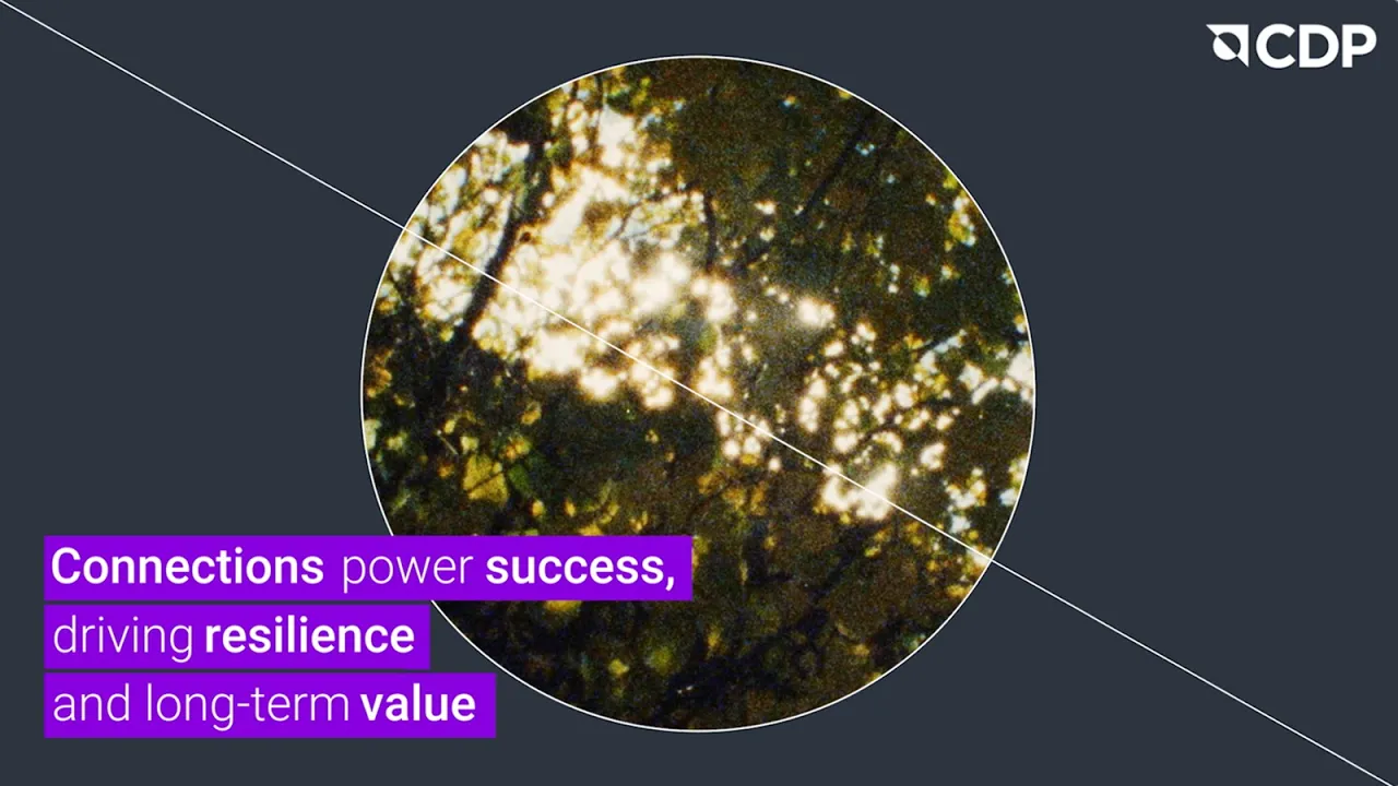 Future-Proof Your Supply Chain with CDP