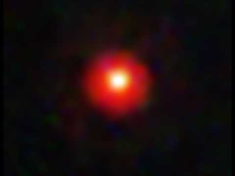 Quasi-Stars, the Little Red Dots and the James Webb Telescope