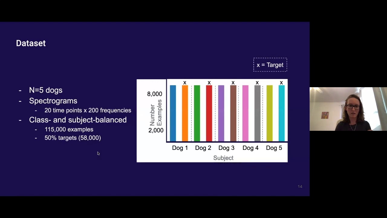 Towards Epileptic Seizure Prediction with Deep Network | Kata Slama | OpenAI Scholars Demo Day 2020