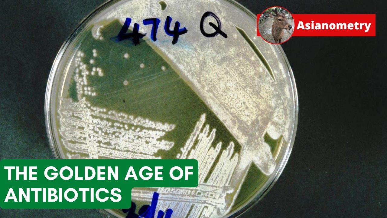 The Great Golden Age of Antibiotics