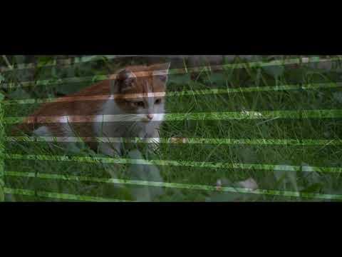 Thư giãn vài giây cho kết thúc một ngày dài...