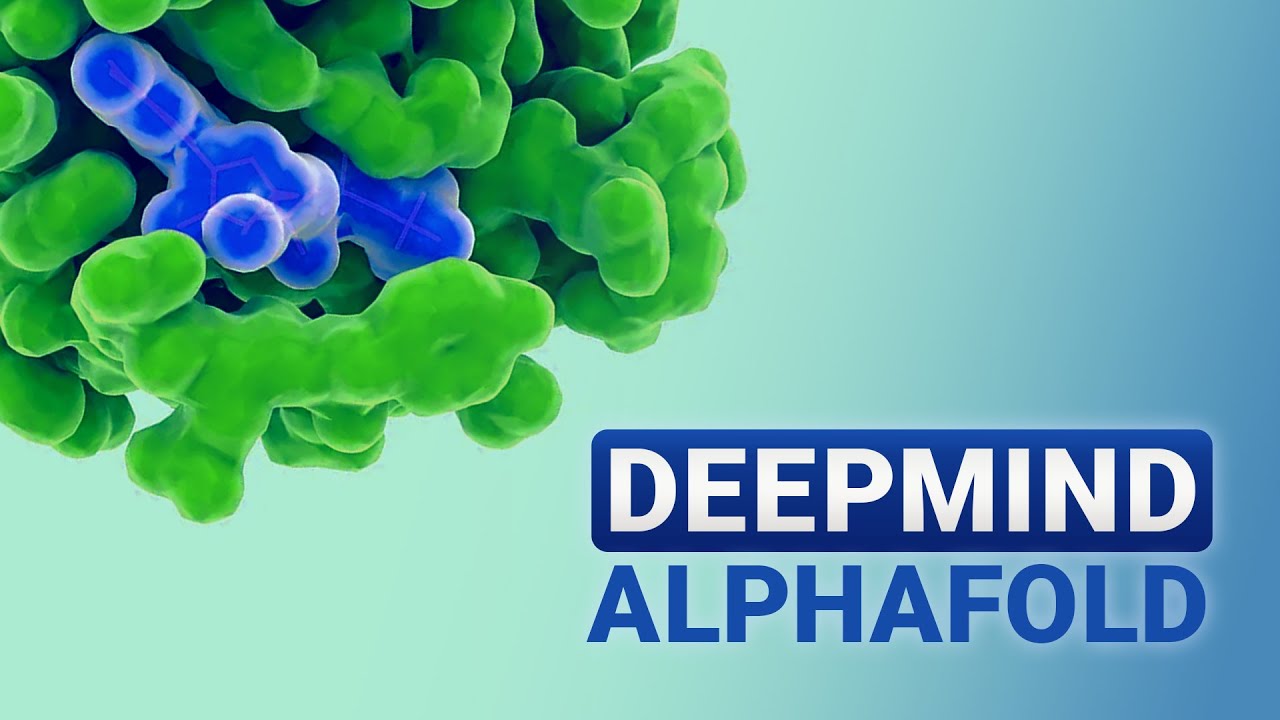 AlphaFold Just Won The Nobel Prize! 🧬