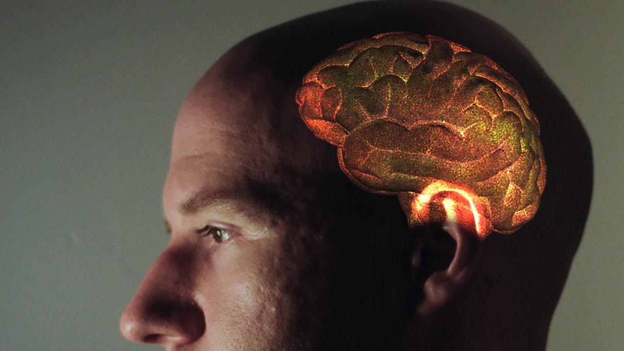 How to cure brain rot