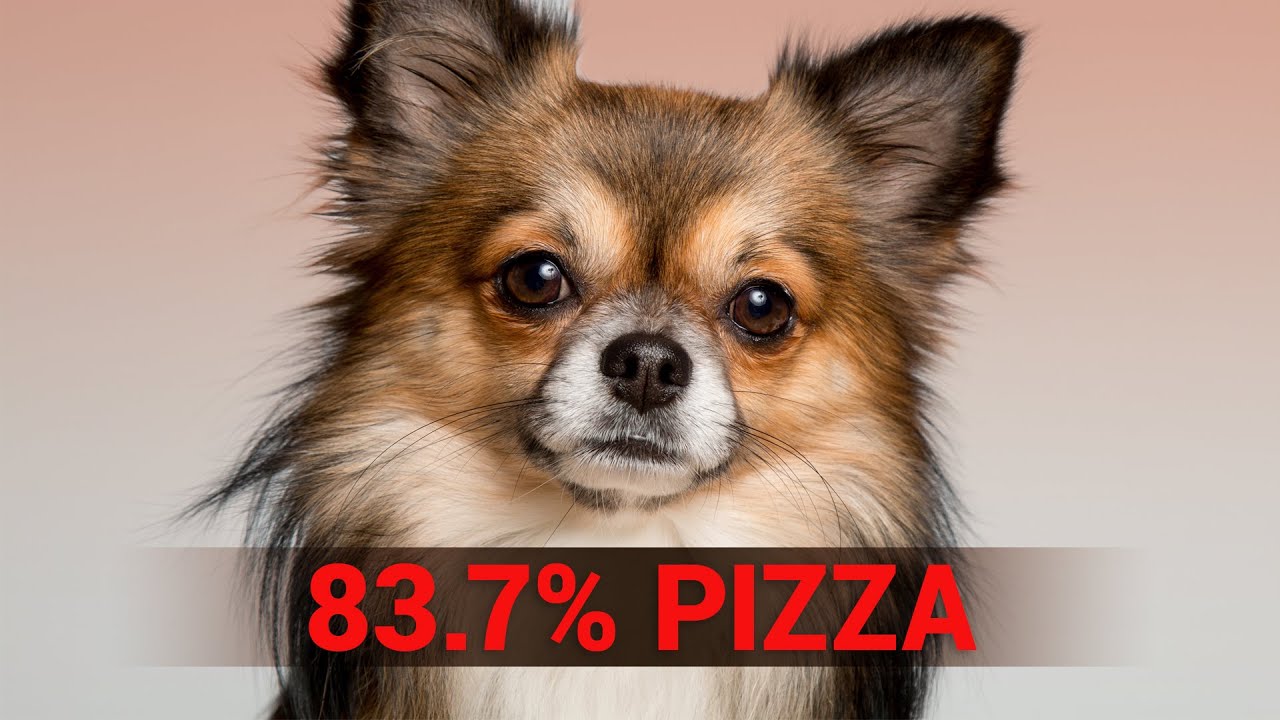 Do Neural Networks Think Like Our Brain? OpenAI Answers! 🧠