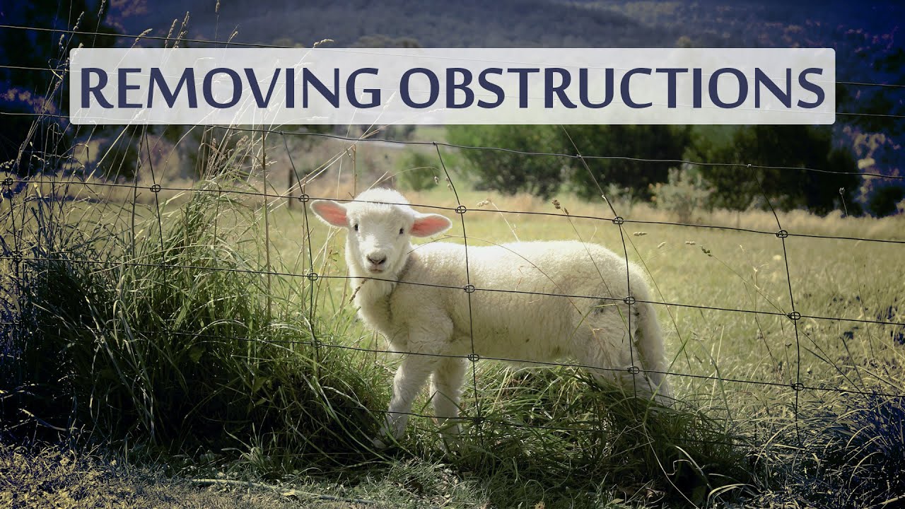 An AI Learned To See Through Obstructions! 👀