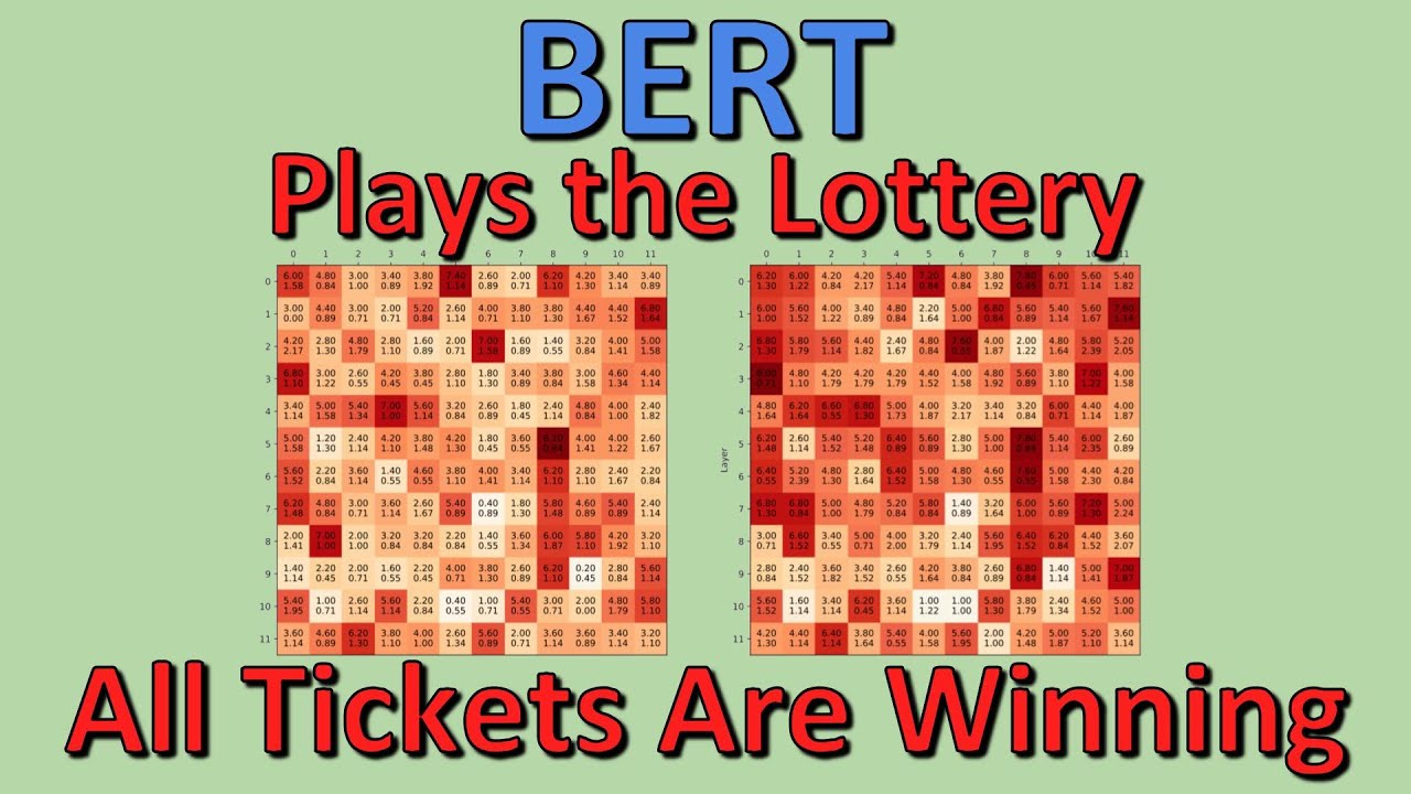 When BERT Plays the Lottery, All Tickets Are Winning (Paper Explained)