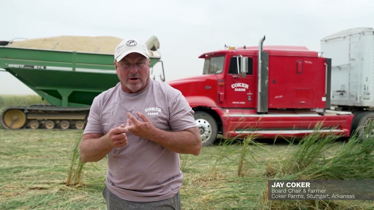 How Producers Rice Leverages American Solar in Arkansas