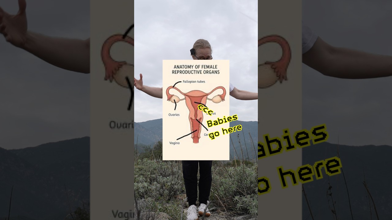 Как мужчине понять женский цикл: карта для партнёра