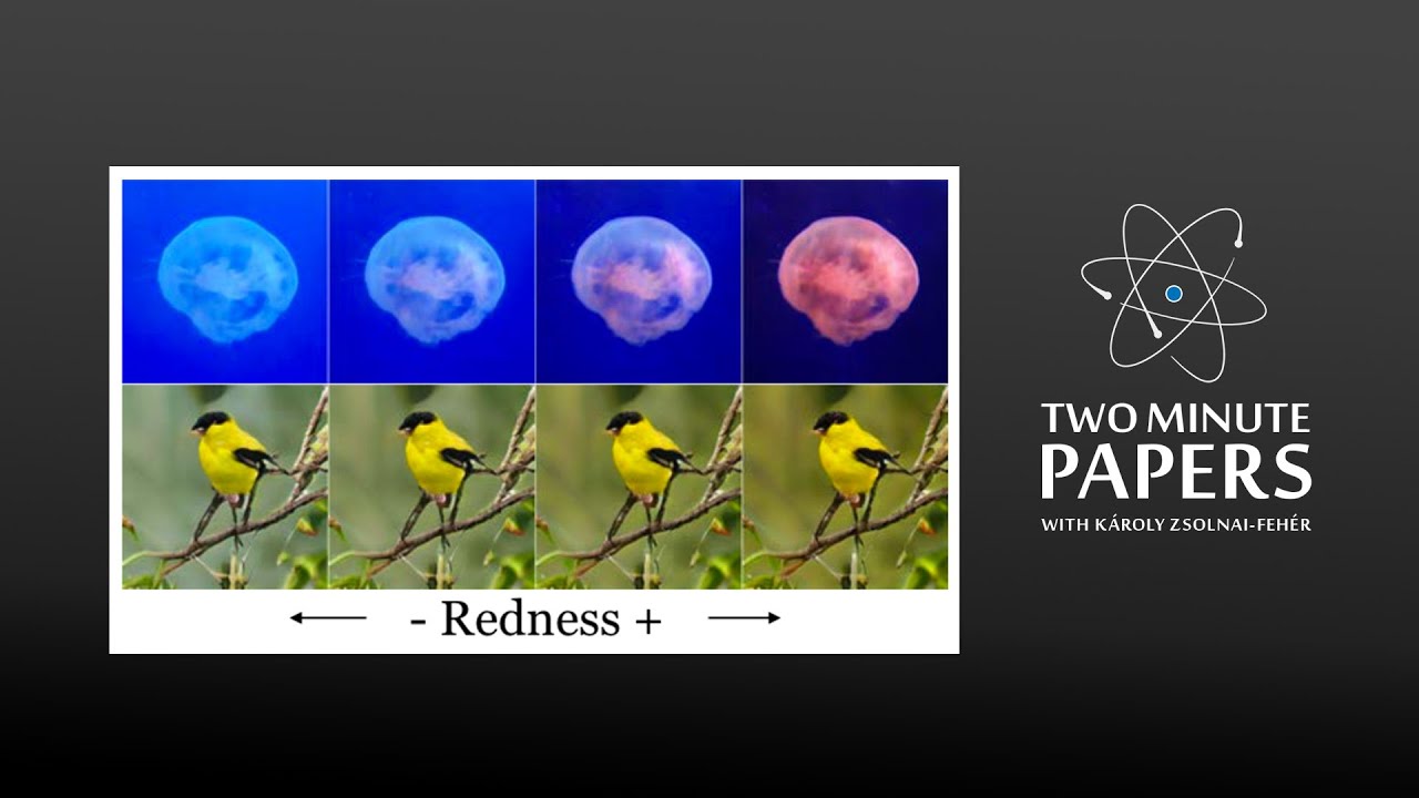 This AI Hallucinates Images For You