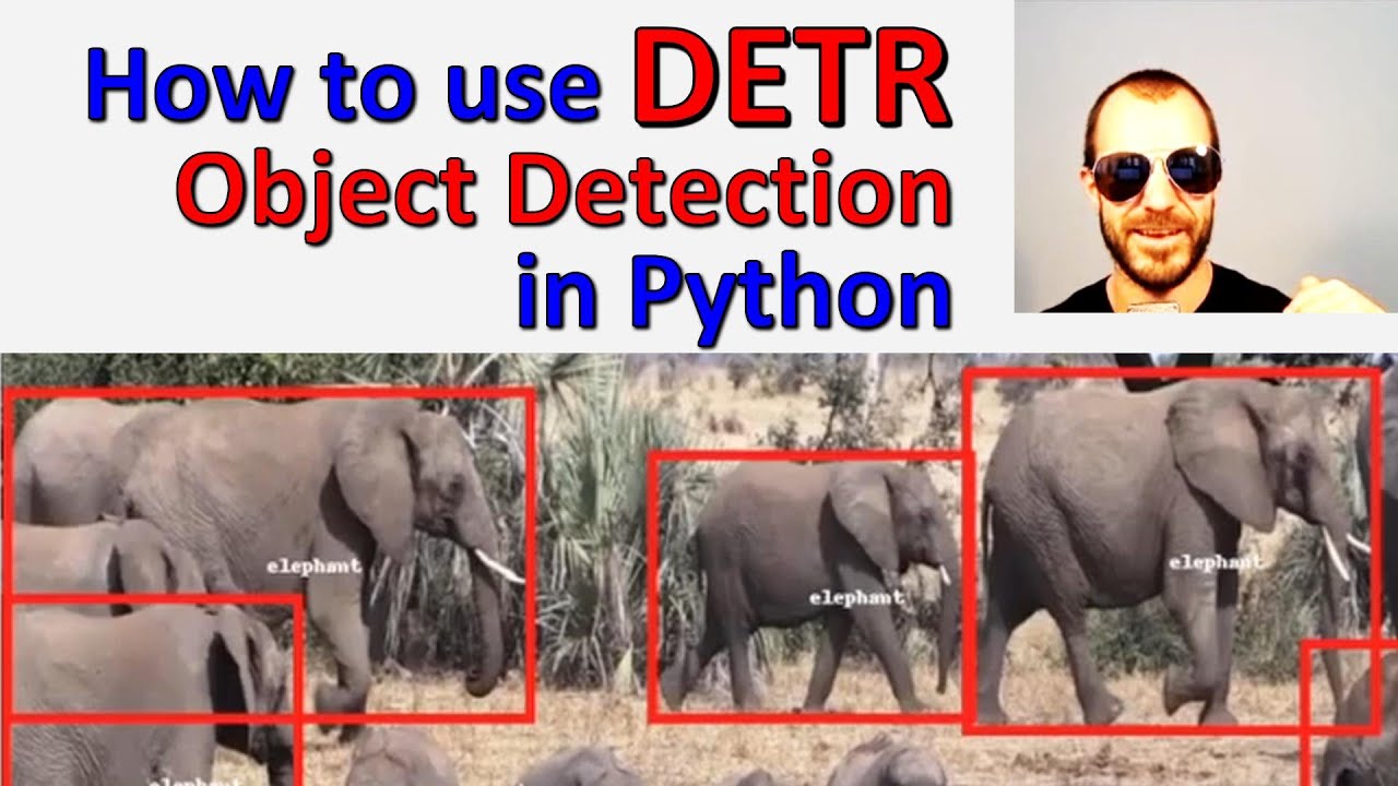 [Code] How to use Facebook's DETR object detection algorithm in Python (Full Tutorial)