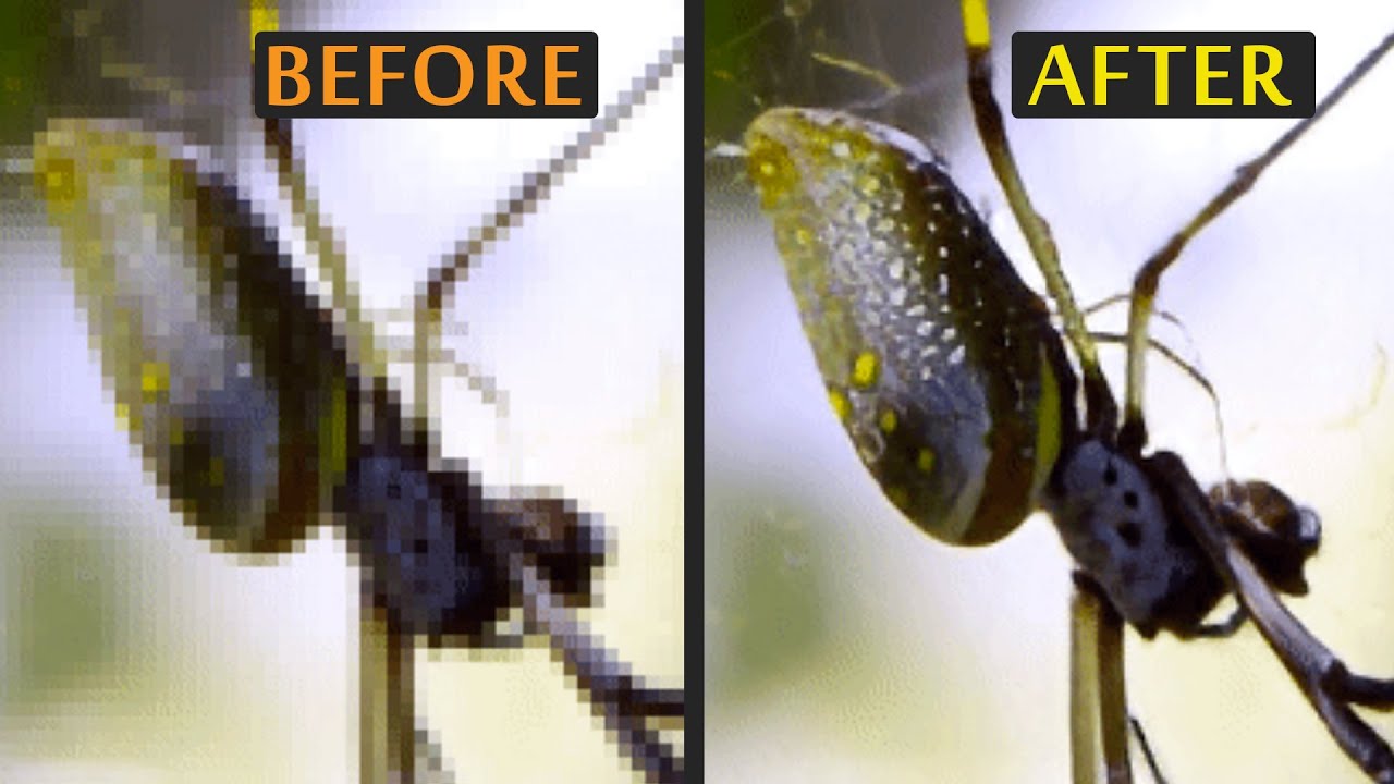 TecoGAN: Super Resolution Extraordinaire!