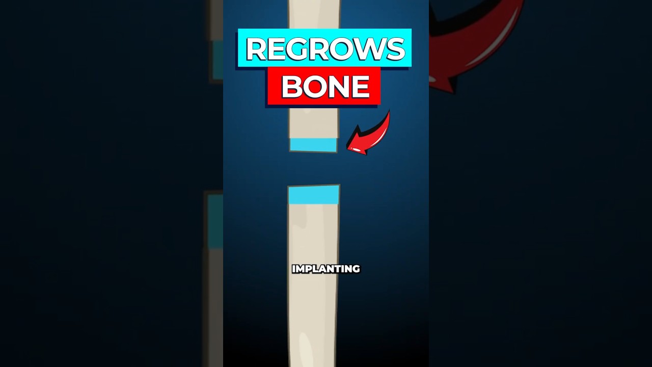 Scientists Discover Method to Grow Bones