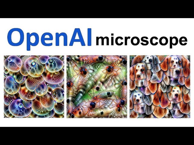 Feature Visualization & The OpenAI microscope