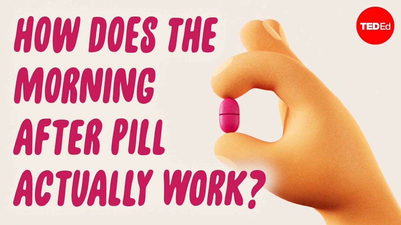 How does the morning-after pill prevent pregnancy? - Alison Edelman