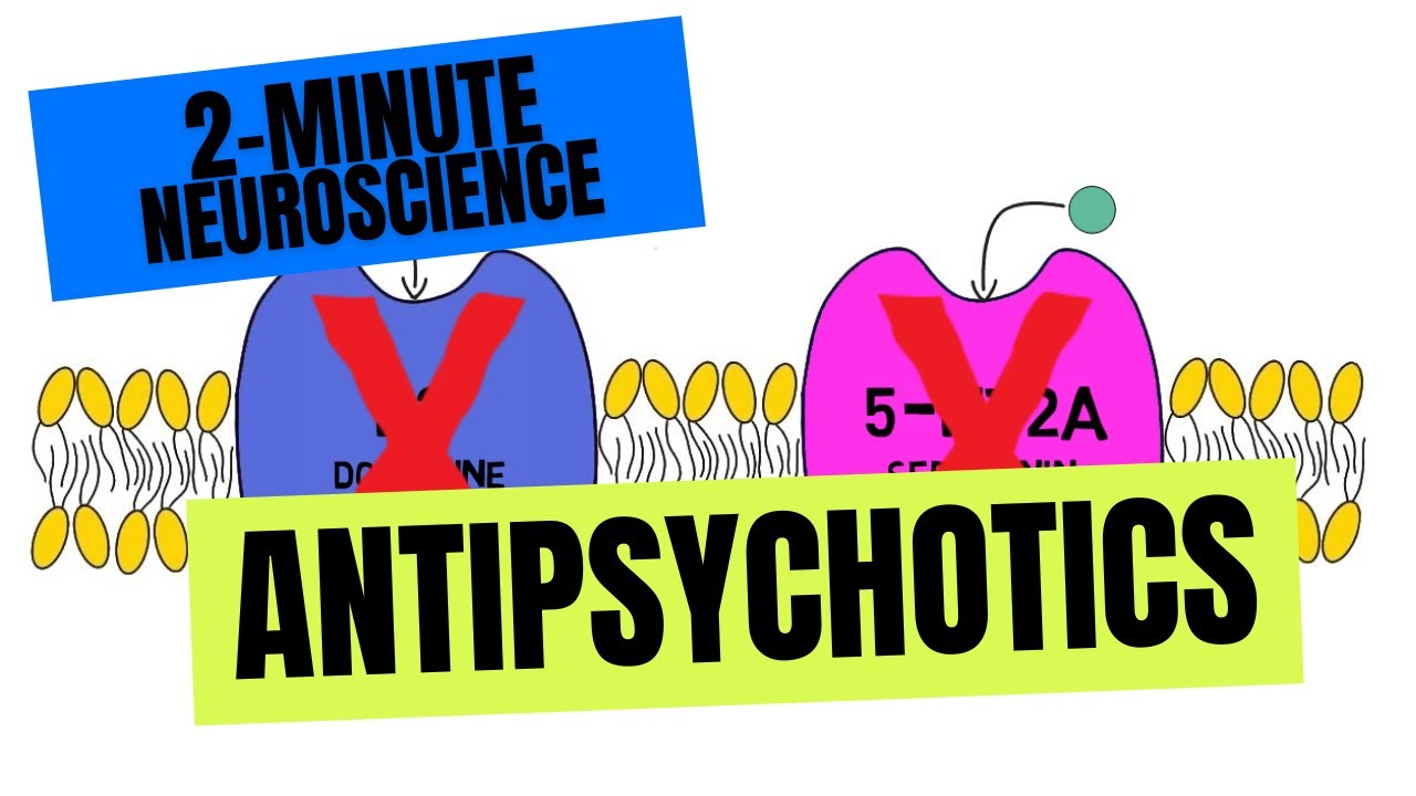 2-Minute Neuroscience: Antipsychotics