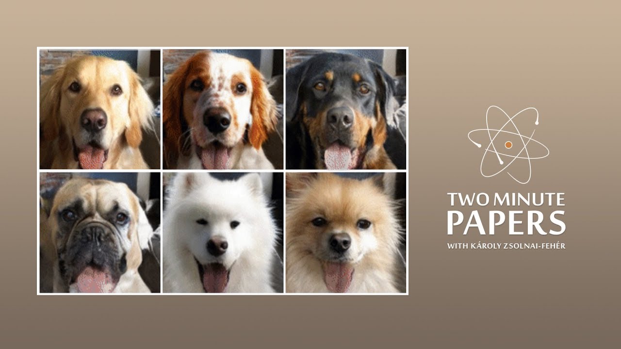 NVIDIA’s AI Transformed My Chihuahua Into a Lion