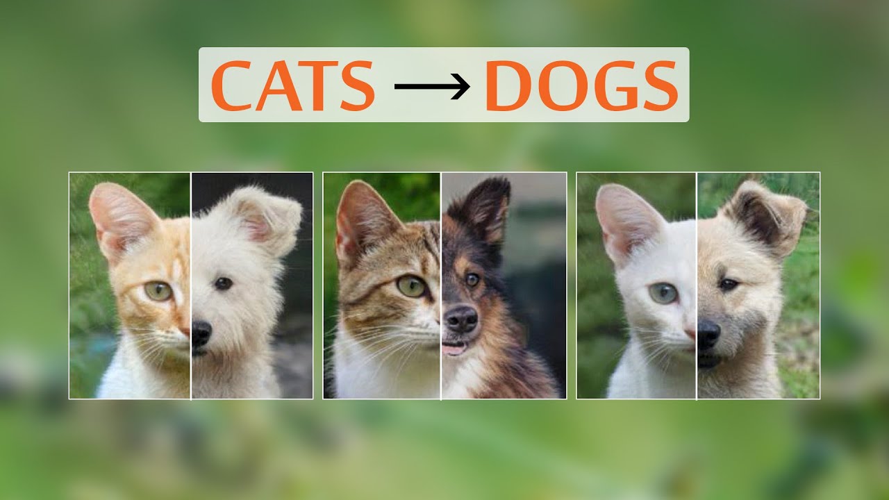 This AI Creates Dogs From Cats…And More!