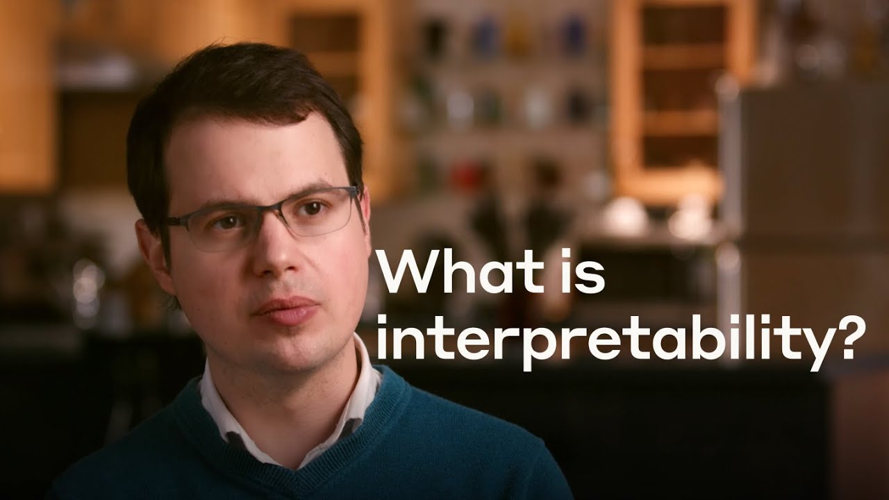 What is interpretability?