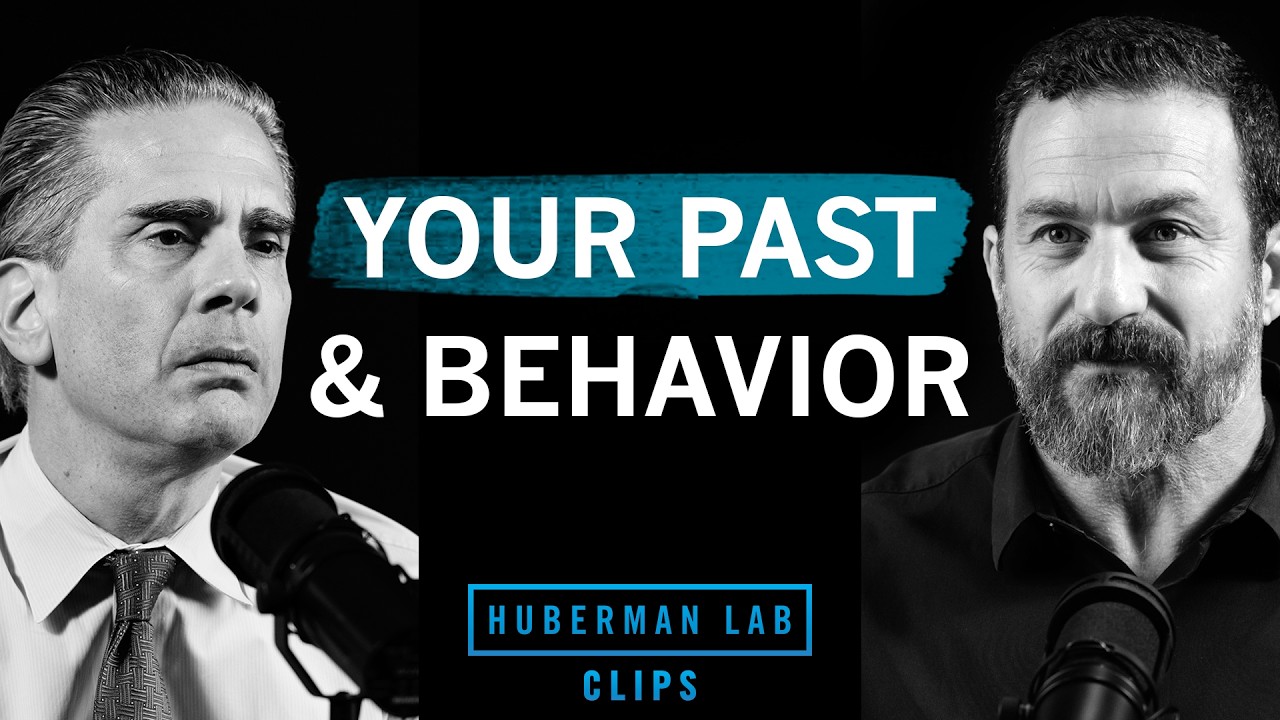 Understand How Your Past Affects Your Behavior | Dr. Paul Conti & Dr. Andrew Huberman