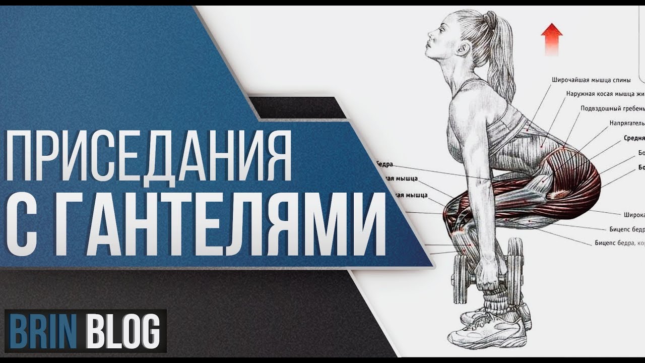 Приседания с гантелями: полная техника выполнения для дома