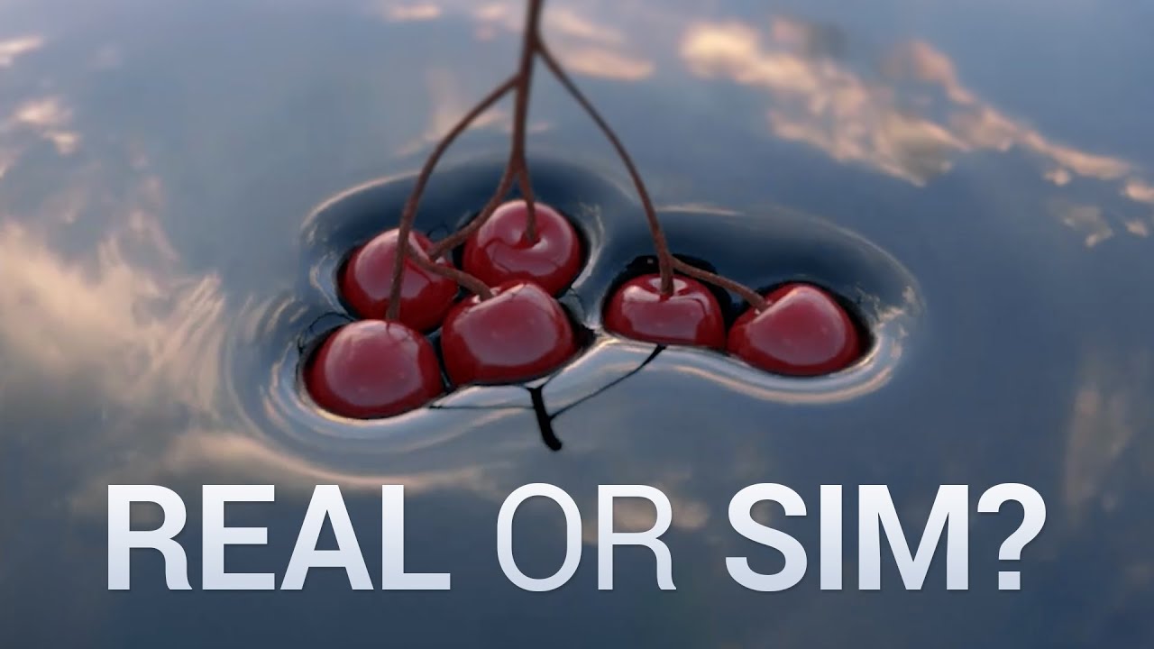 A Simulation That Looks Like Reality! 🤯