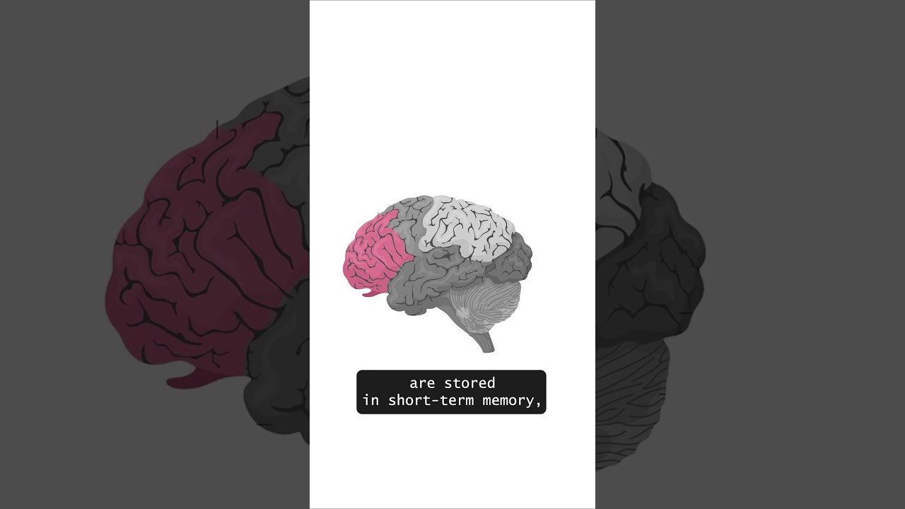 Toward AGI: Google Deepmind's New Learning Model