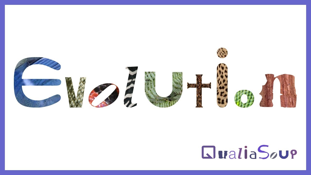 Evolution