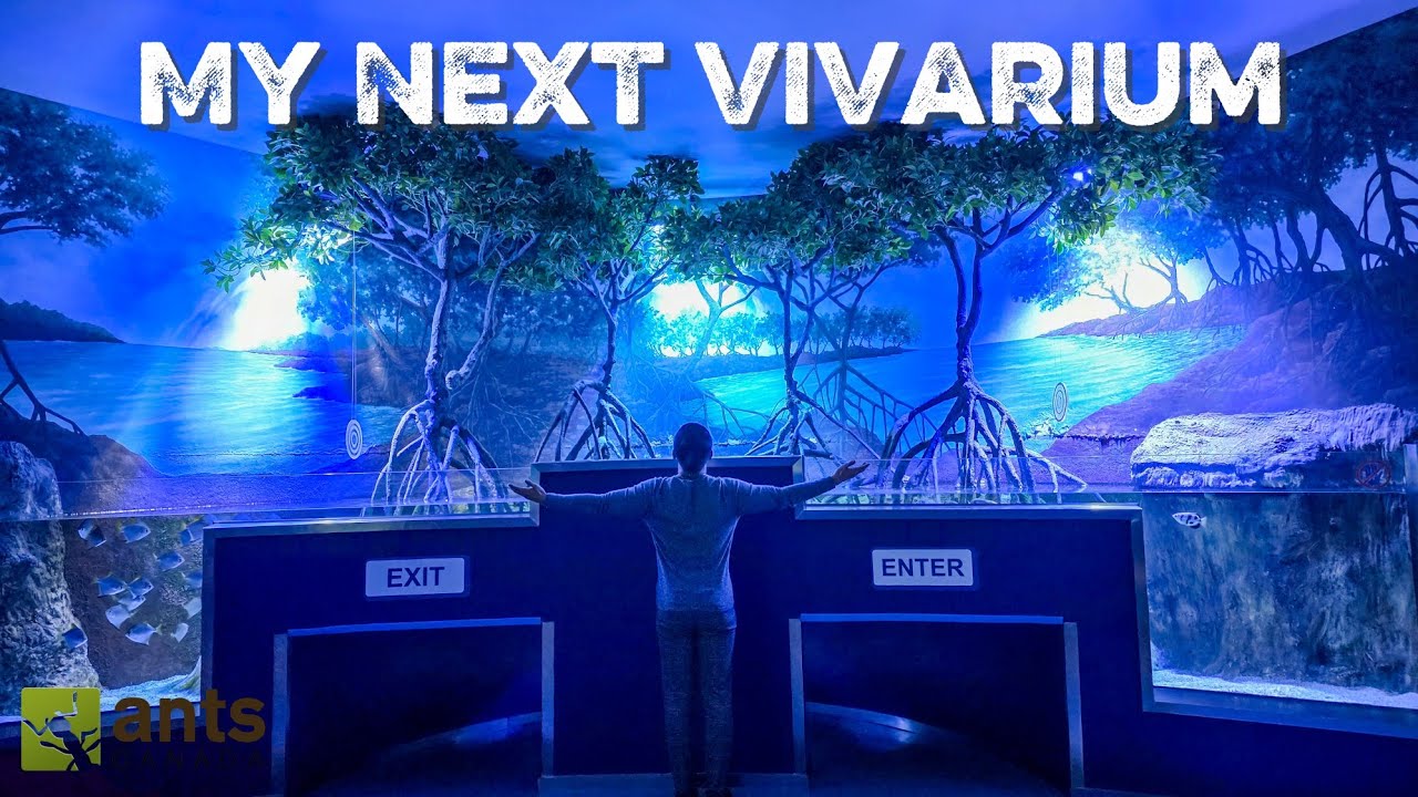 Addressing My Next Giant Vivarium - Tour of the Marassi AQUARIUM ZOO (Bahrain)