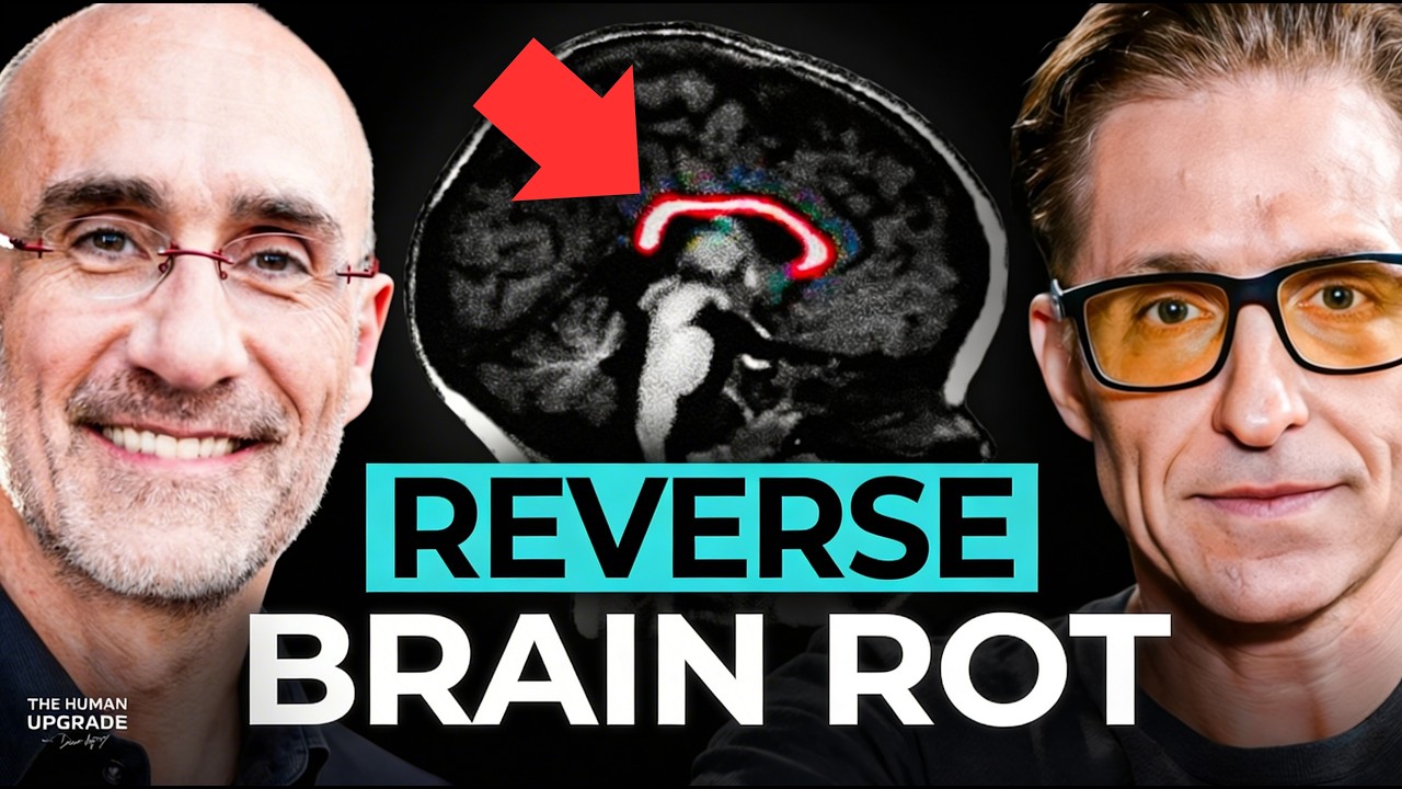 Harvard Professor: Why Your Life Has No Meaning