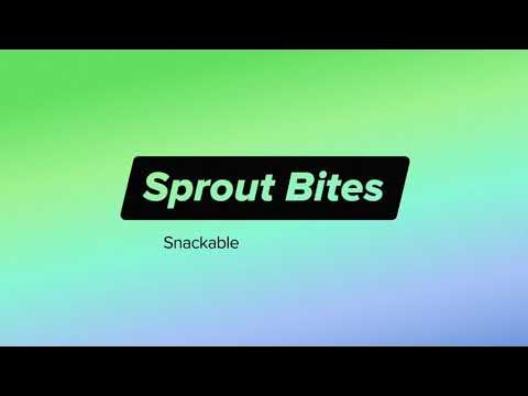 Using Custom Variables in Compose | Sprout Bites