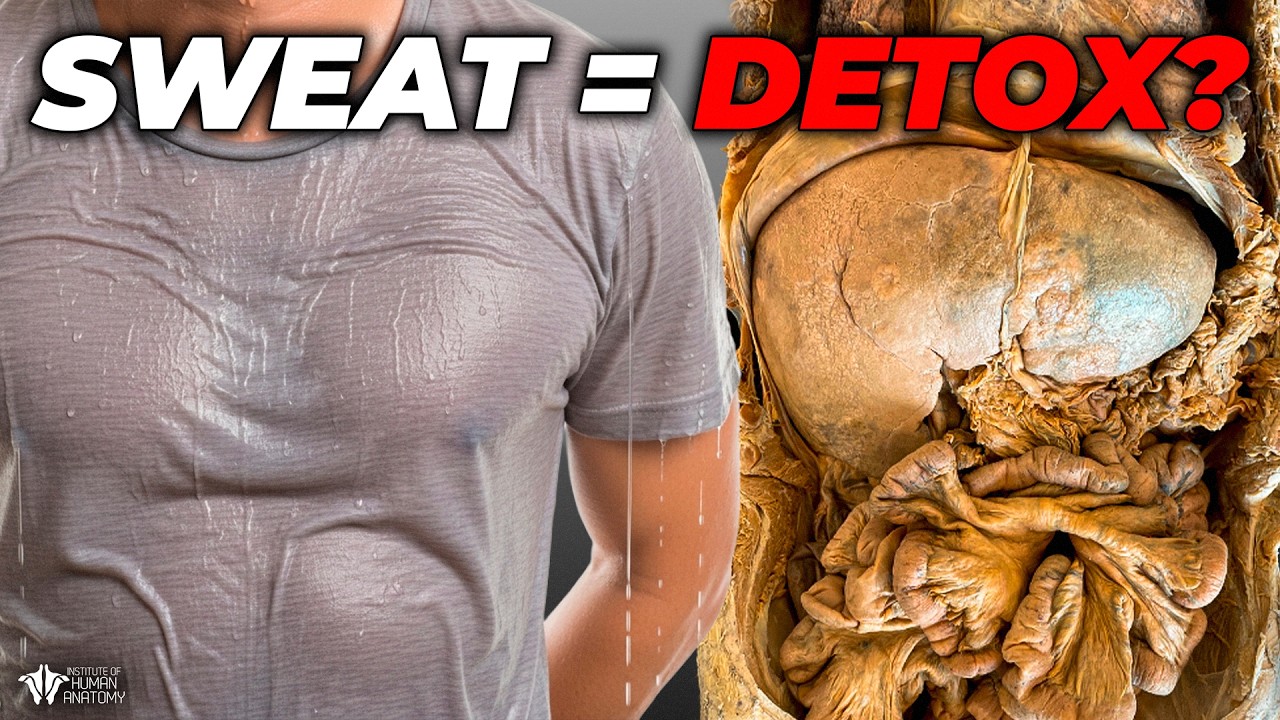 What Your Body ACTUALLY Does With Toxins