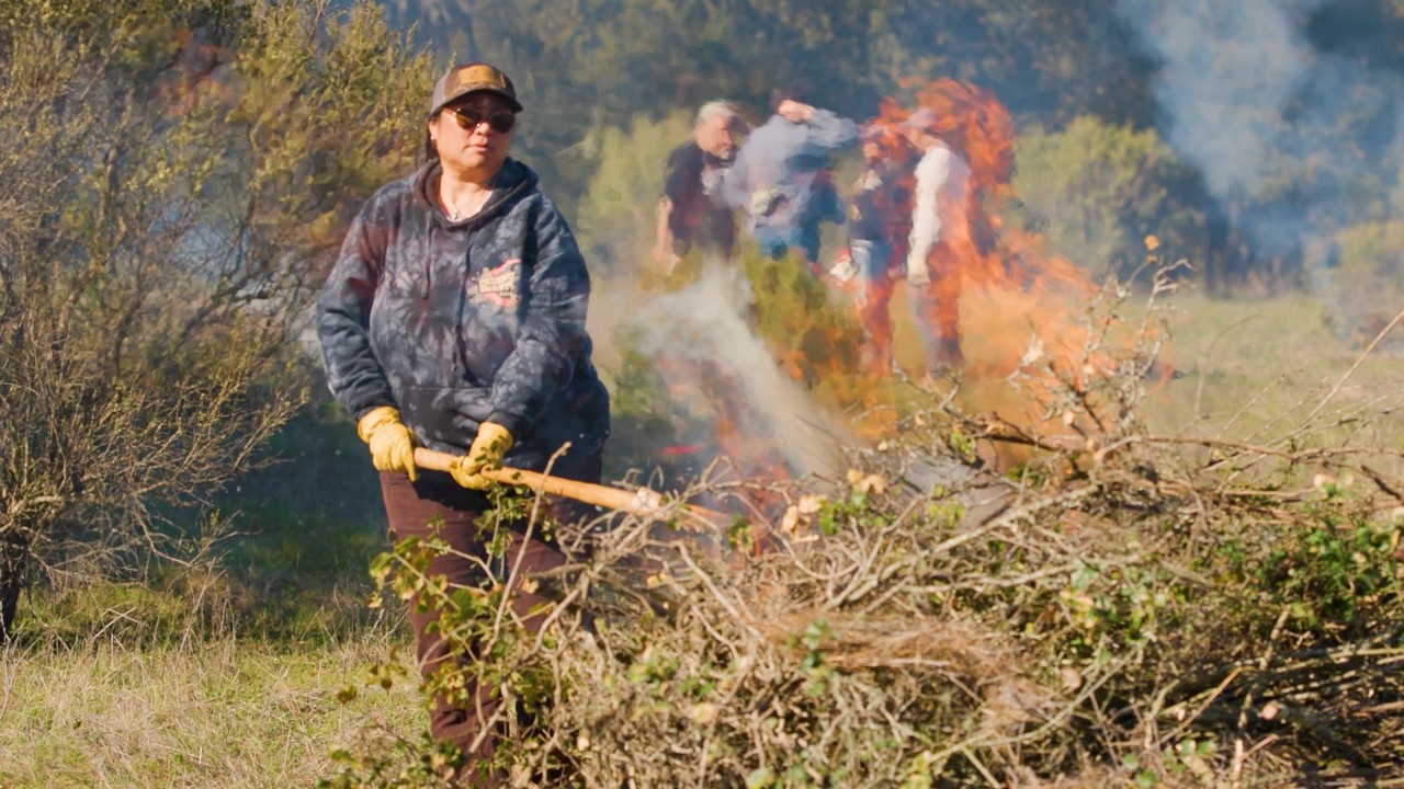 Cultural burning returns to Jasper Ridge