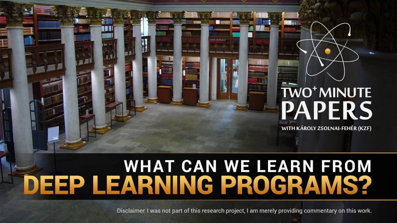 What Can We Learn From Deep Learning Programs? | Two Minute Papers #75