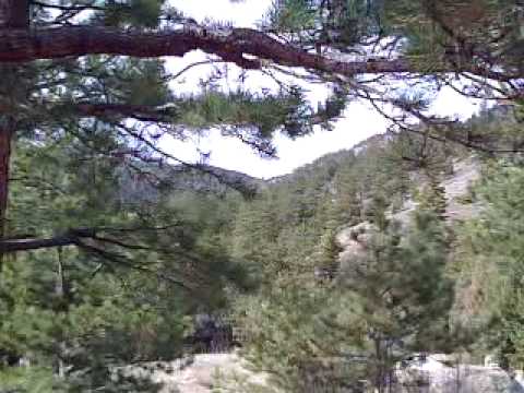 Feld Headups Display