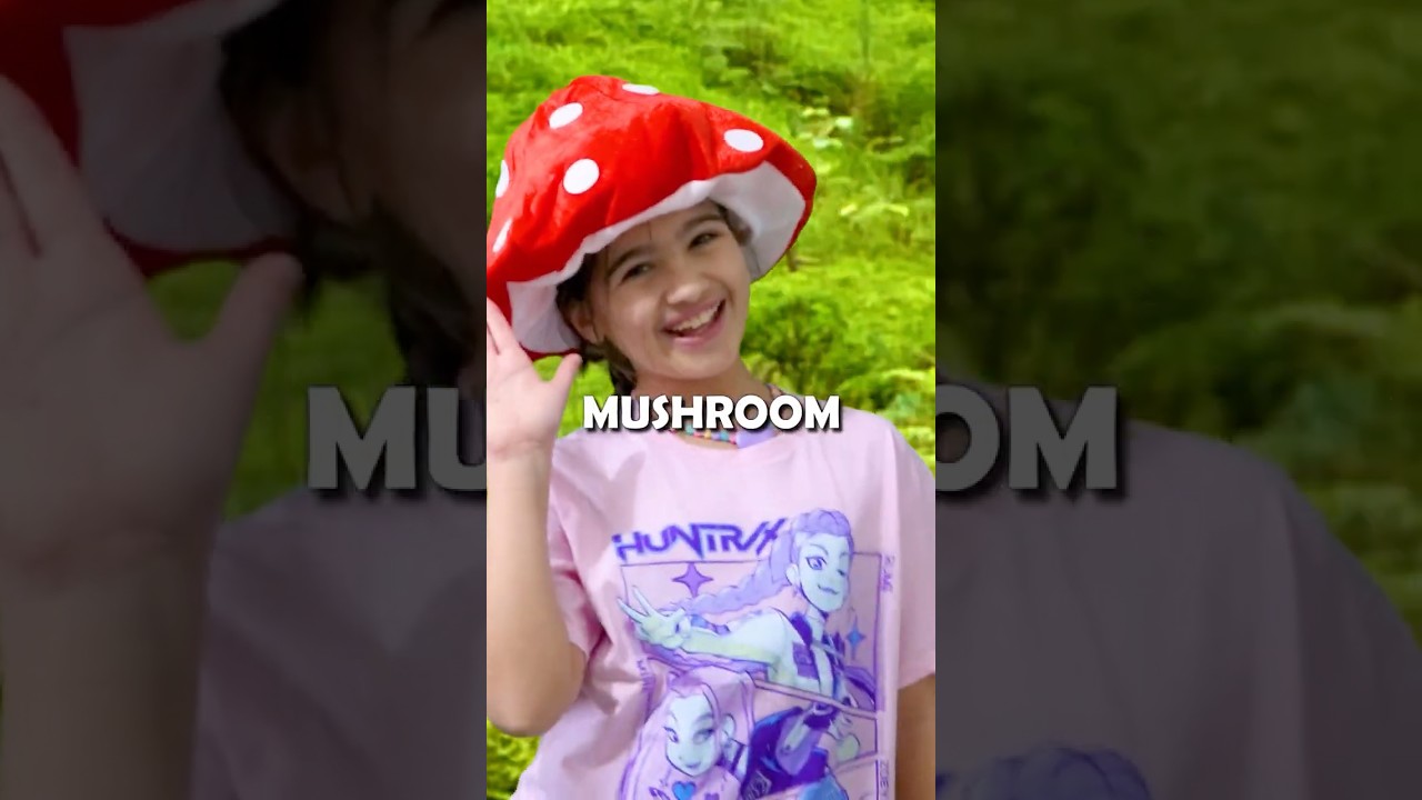 KPOP MUSHROOM HUNTERS 3: MUSHROOM TOP